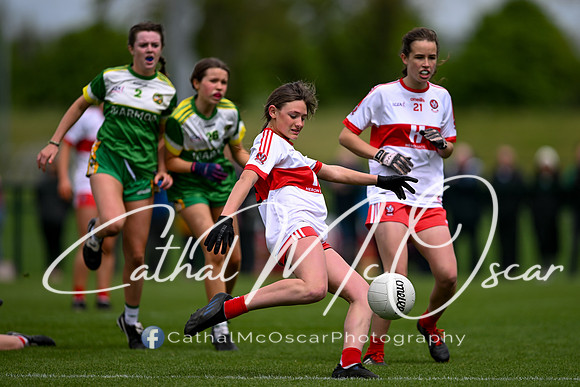 Derry v Offaly (112 of 260)