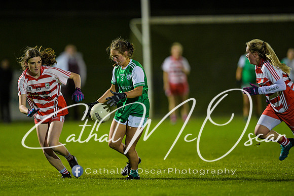Ballerin v Craigbane (62 of 201)