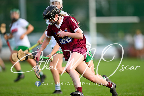 Slaughtneil v Swatragh-111