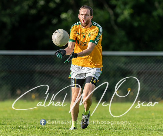 Ogra Colmcille v Ardmore (47 of 144)