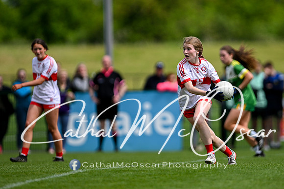 Derry v Offaly (36 of 260)