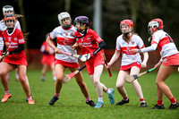Derry Minors v Tyrone Seniors (4 of 143)