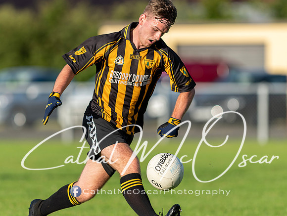 Ogra Colmcille v Ardmore (104 of 144)