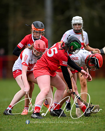 Derry Minors v Tyrone Seniors (44 of 143)