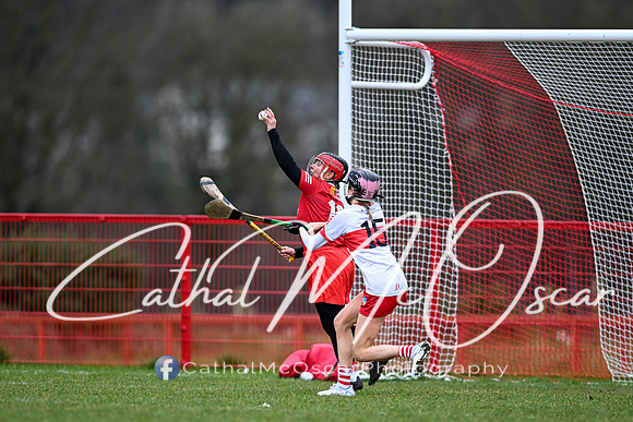 Derry Minors v Tyrone Seniors (71 of 143)