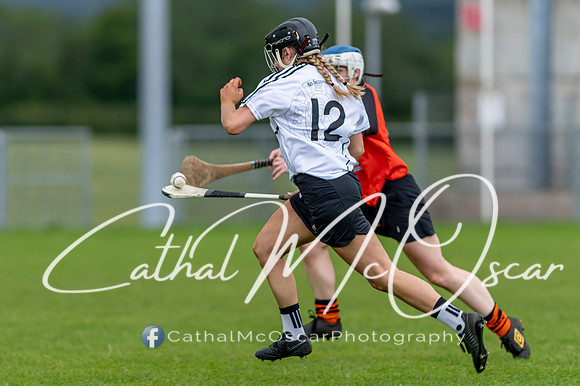 Castledawson v Lavey II (40 of 130)