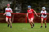 Derry Minors v Tyrone Seniors (16 of 143)