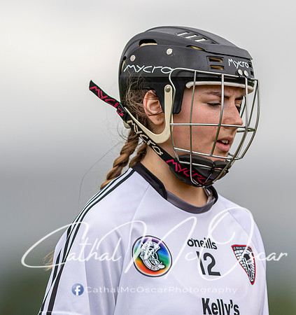 Castledawson v Lavey II (35 of 130)