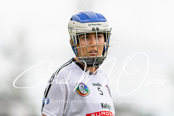 Castledawson v Lavey II (34 of 130)