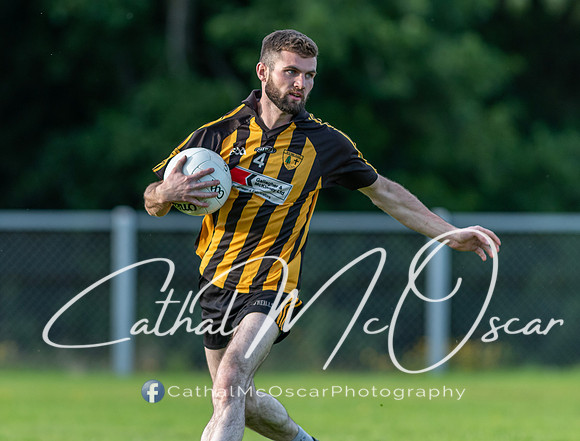 Ogra Colmcille v Ardmore (99 of 144)