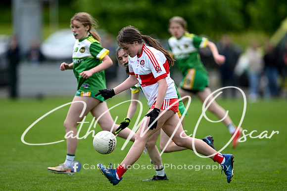 Derry v Offaly (126 of 260)