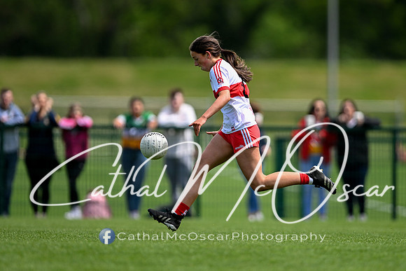 Derry v Offaly (8 of 260)