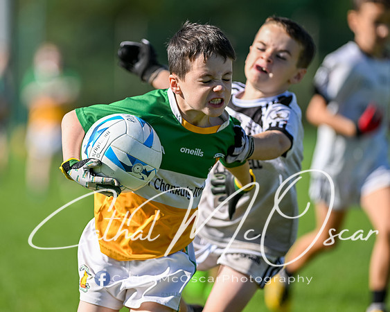 Moy U7.5 Tournament (202 of 427)