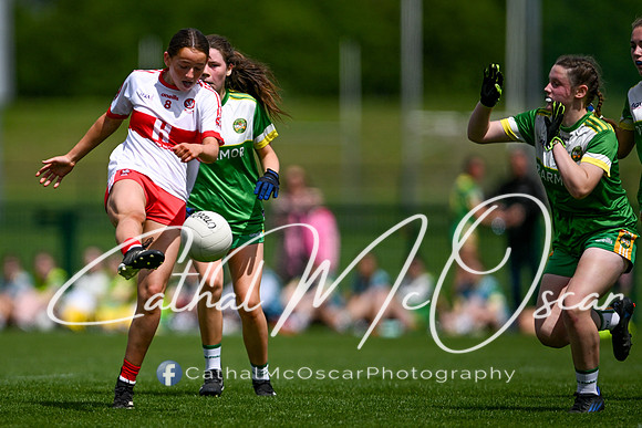 Derry v Offaly (74 of 260)