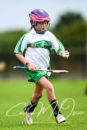 Castledawson v Loup (86 of 101)