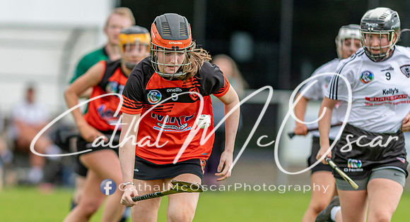 Castledawson v Lavey II (42 of 130)