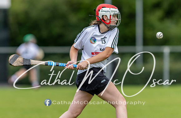 Castledawson v Lavey II (98 of 130)