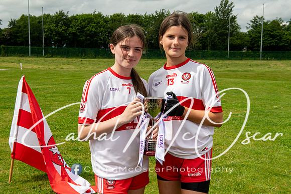 Derry v Offaly (233 of 260)