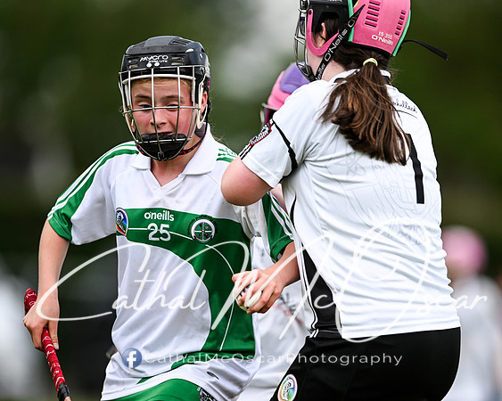 Castledawson v Loup (83 of 101)