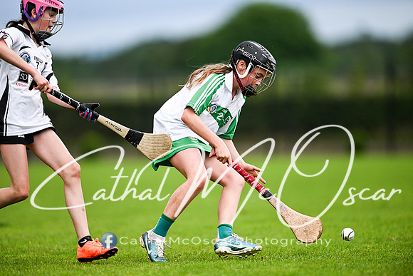 Castledawson v Loup (89 of 101)