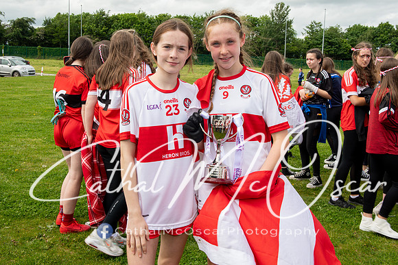 Derry v Offaly (245 of 260)