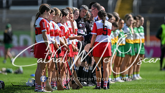 Derry v Offaly (35 of 148)