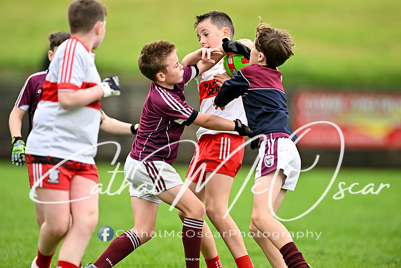 Tony Fitzpatrick Tournament (184 of 302)
