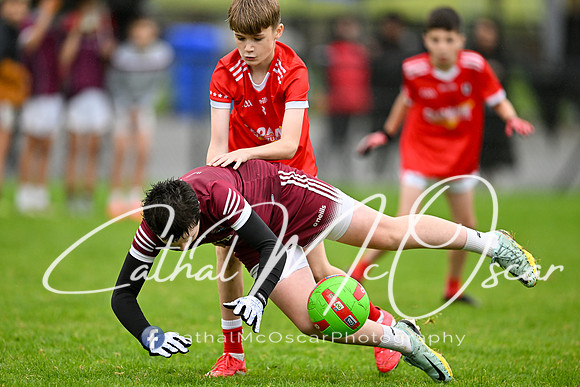 Tony Fitzpatrick Tournament (276 of 302)