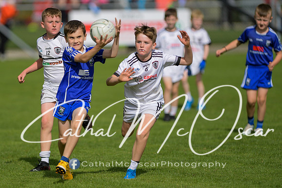 Castledawson U9 Tournament (87 of 250)