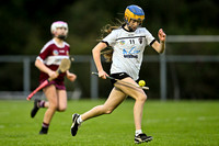 Castledawson v Banagher (8 of 38)