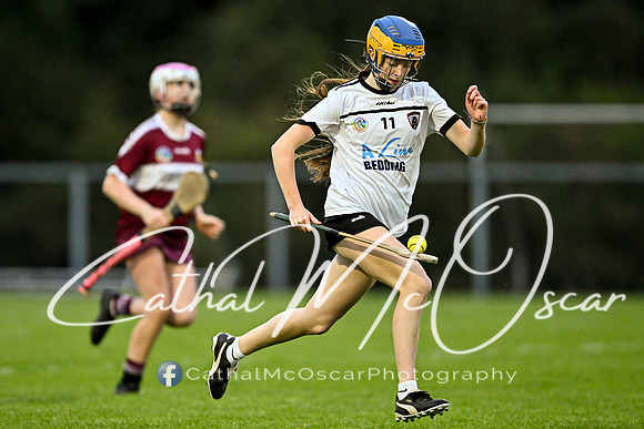 Castledawson v Banagher (8 of 38)