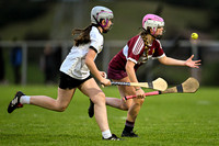 Castledawson v Banagher (12 of 38)