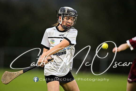 Castledawson v Banagher (14 of 38)