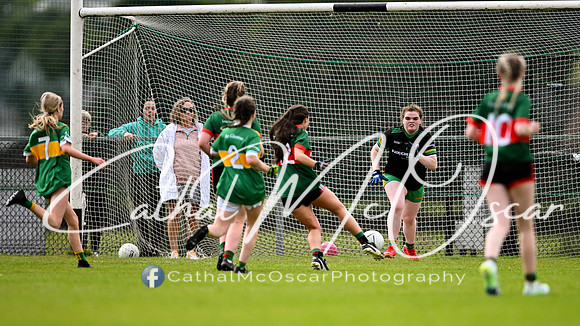 Slaughtmanus v Glen  (102 of 150)