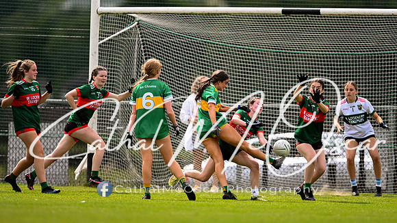 Slaughtmanus v Glen  (131 of 150)