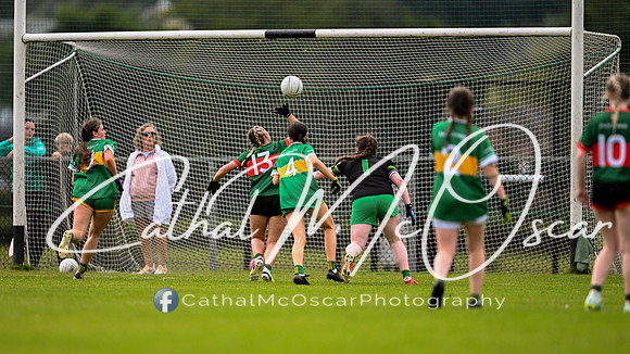 Slaughtmanus v Glen  (112 of 150)