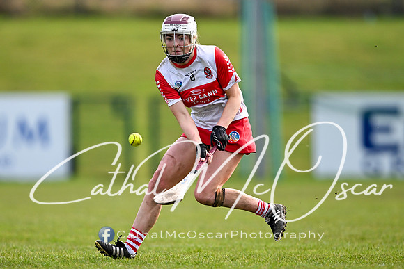 Derry v Offaly (51 of 142)