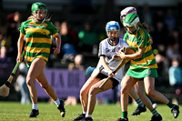Castledawson v Glenullin (8 of 65)