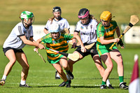 Castledawson v Glenullin (9 of 65)