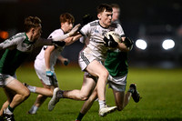 Castledawson v Loup (19 of 73)