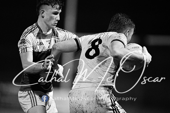 Castledawson v Loup (29 of 73)