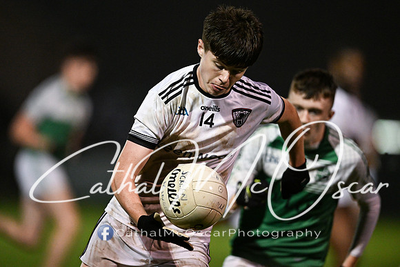 Castledawson v Loup (28 of 73)
