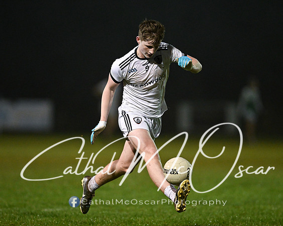 Castledawson v Loup (33 of 73)