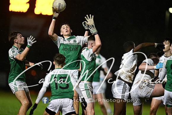 Castledawson v Loup (55 of 73)
