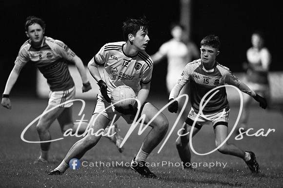 Castledawson v Loup (37 of 73)