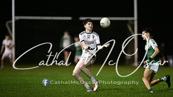 Castledawson v Loup (45 of 73)