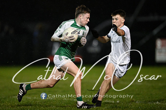 Castledawson v Loup (49 of 73)
