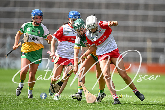Derry v Offaly (116 of 148)