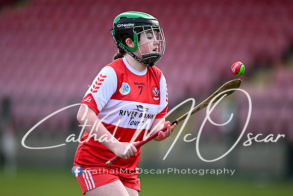 Derry v Offaly (65 of 142)
