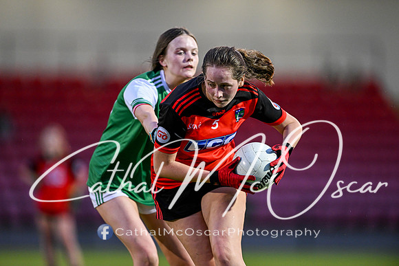 Craigbane v Lissan (99 of 186)